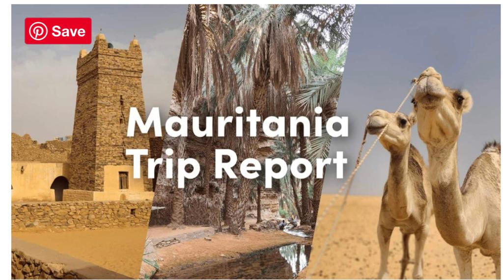 Mauritania trip report Logo